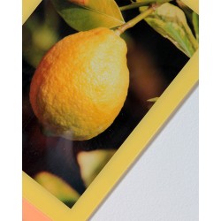Cadres photo 10x15 cm Jaune